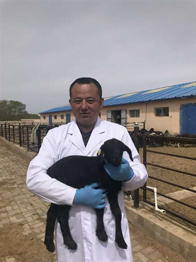 任俊光 内蒙古正洋种畜有限公司董事长.png