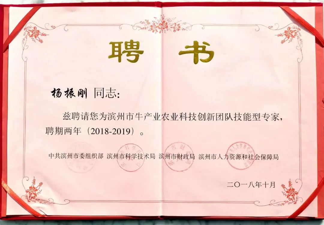 1545029852984849.jpg 7.webp.jpg