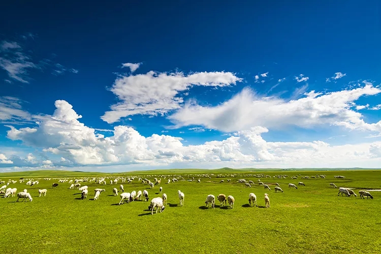 1545121409839173.jpg 640.webp.jpg