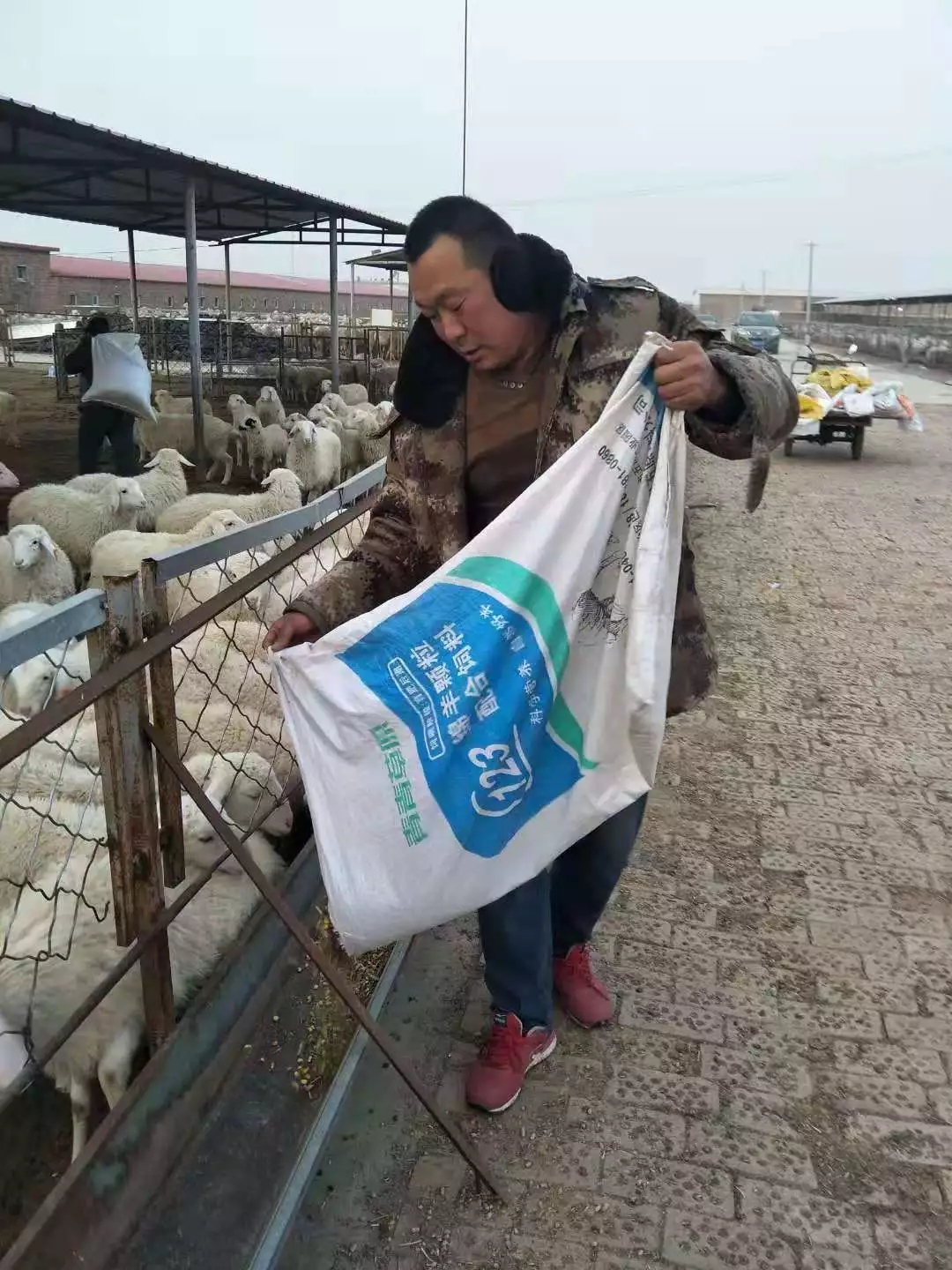 1545121671208118.jpg 640.webp (3).jpg