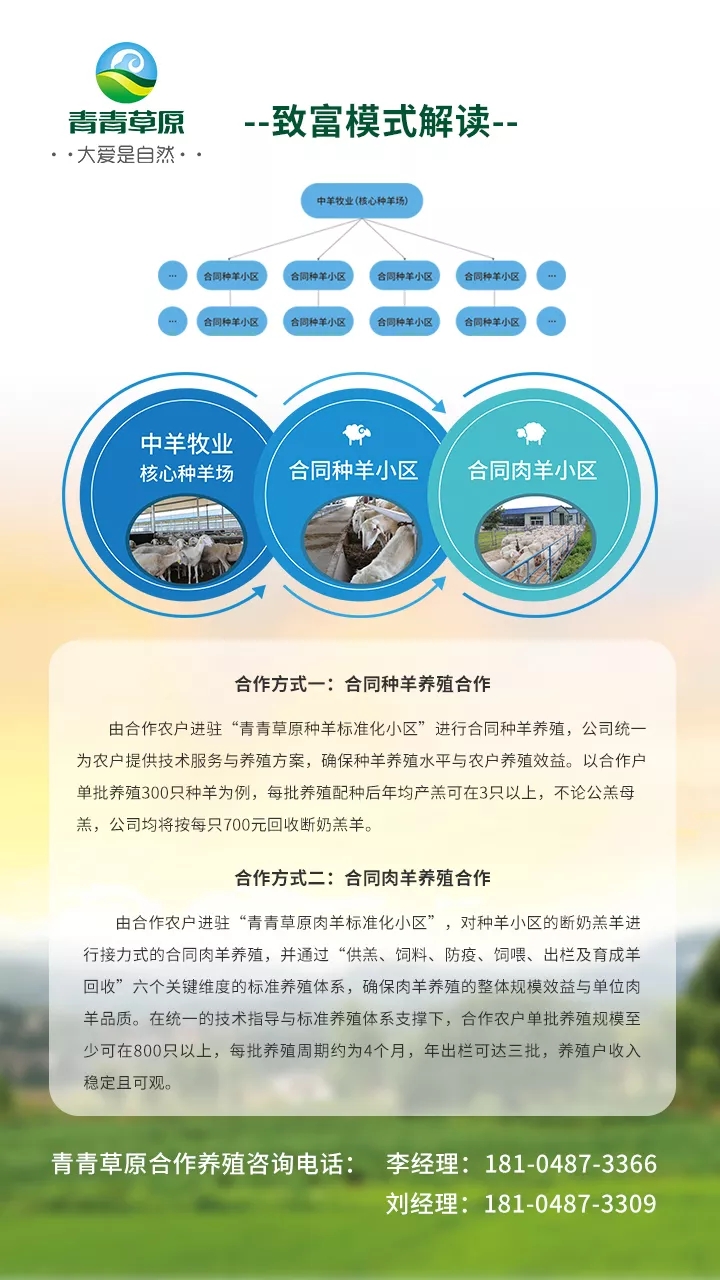 1545121918589210.jpg 640.webp (7).jpg