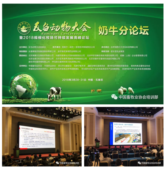 1545877511369839.jpg 1.jpg