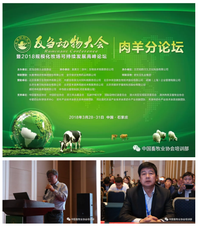 1545877964196172.jpg 4.jpg