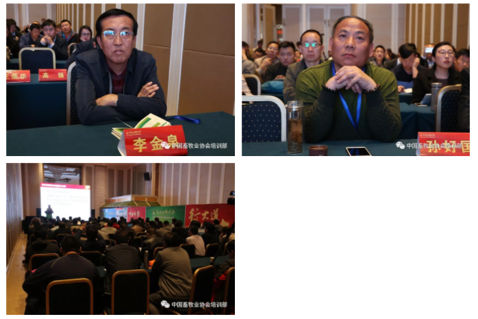 1545877969500257.jpg 5.jpg