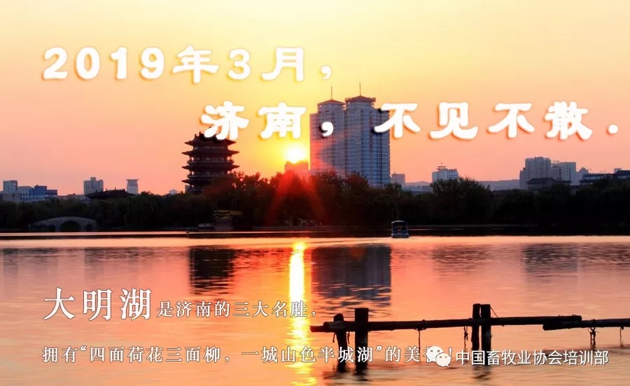 1545878051392910.jpg 640.webp (2).jpg