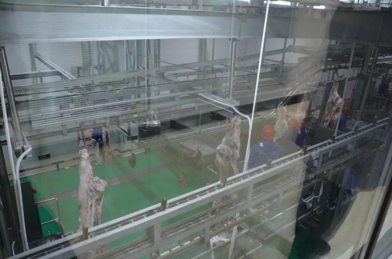 1547427983810761.jpg 2.jpg