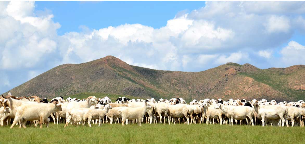 1547627819163262.jpg 1.jpg