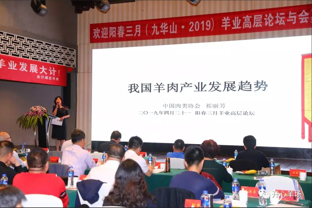 1556586887117653.jpg 640.webp (8).jpg