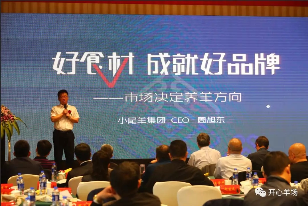 1556586944470767.jpg 640.webp (11).jpg