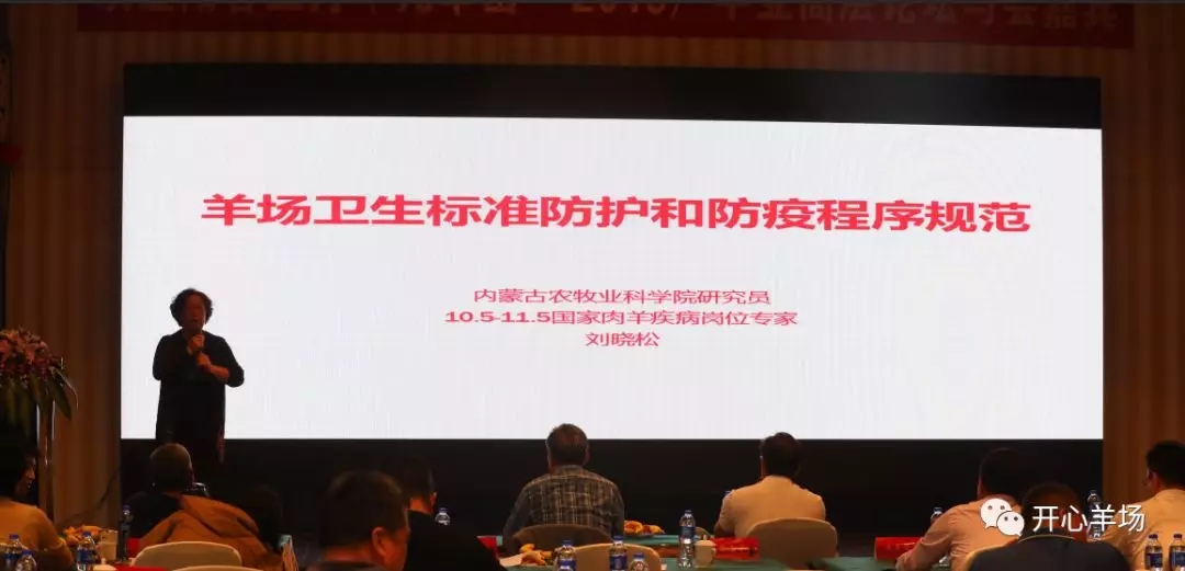 1556586998912273.jpg 640.webp (15).jpg