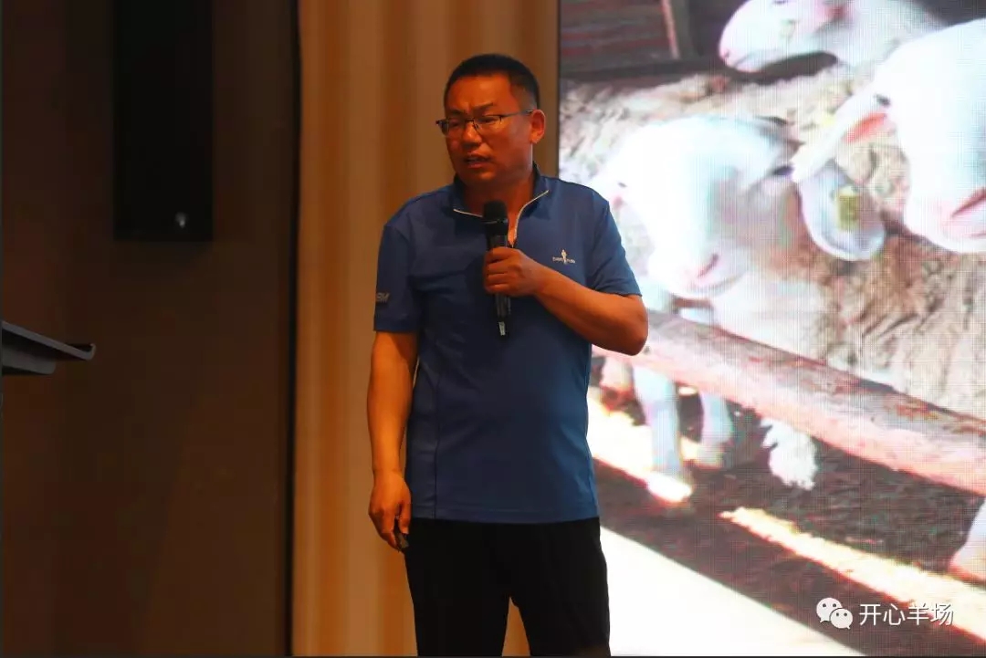 1556587116939986.jpg 640.webp (20).jpg