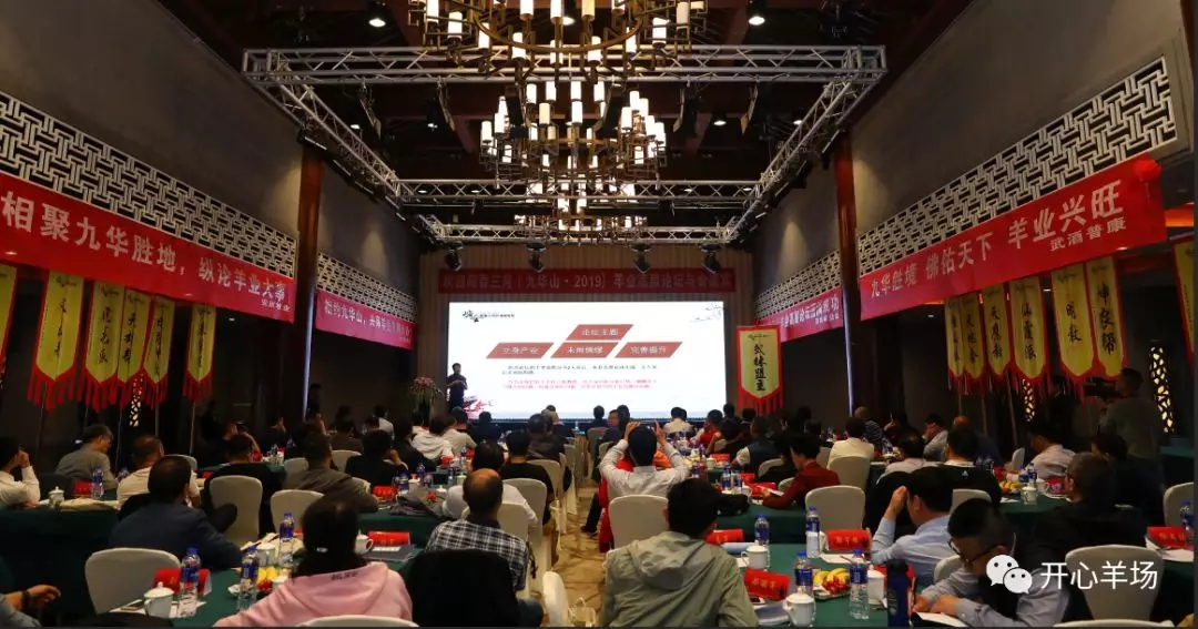 1556587295112751.jpg 640.webp (28).jpg