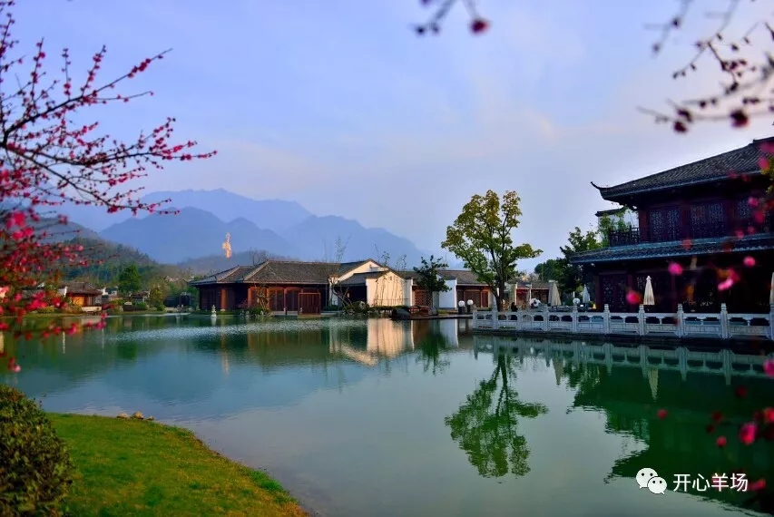 1556587372417150.jpg 640.webp (34).jpg