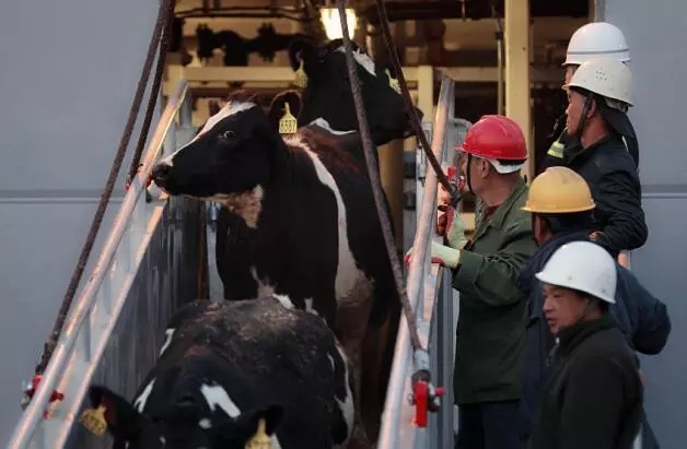 1557450290567201.jpg 640.webp.jpg