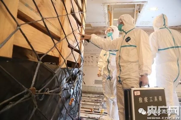 1558076084948764.jpg 640.webp (2).jpg