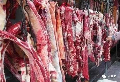 1559178568137602.jpg 640.webp (1).jpg