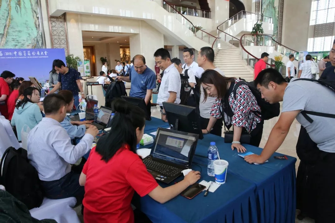 1560387663127851.jpg 640.webp.jpg