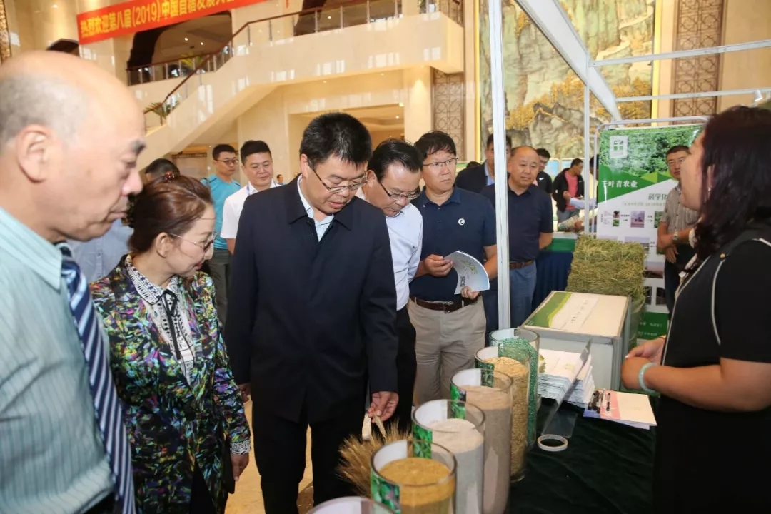 1560387684322738.jpg 640.webp (2).jpg