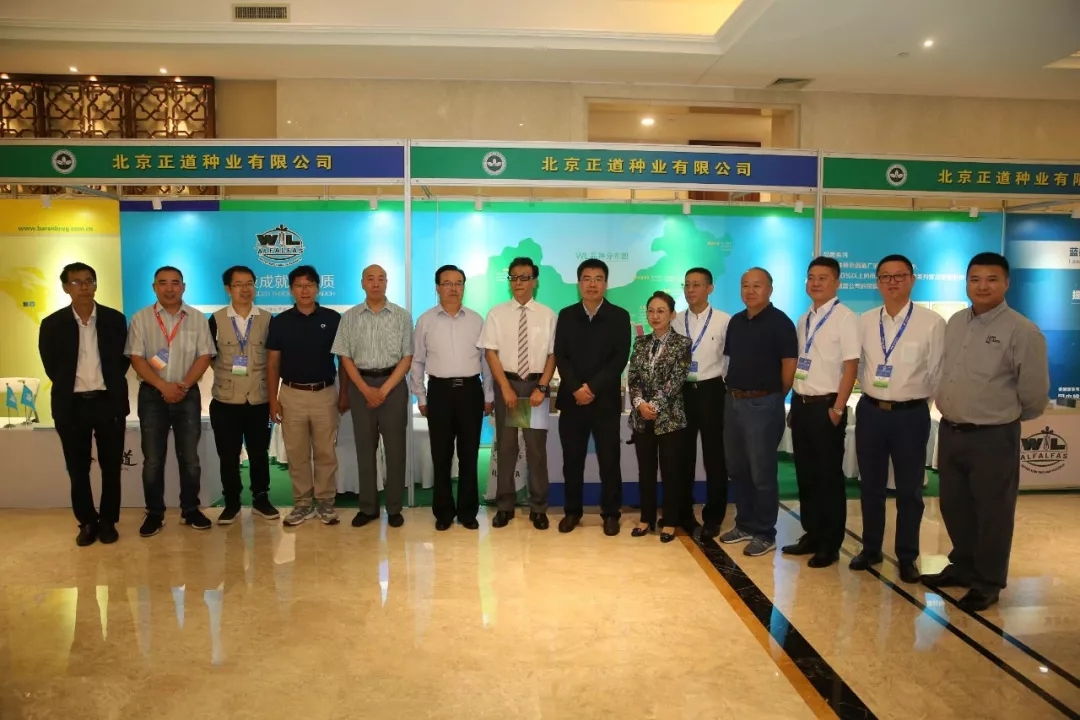 1560387838322910.jpg 640.webp (10).jpg