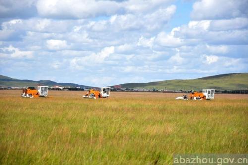 1560416851110294.jpg u=2981821229,2855354618&fm=26&gp=0.jpg