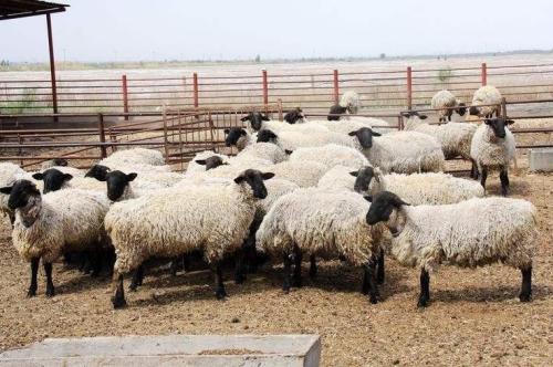 1560560236584242.jpg u=2377633134,2542841909&fm=26&gp=0.jpg