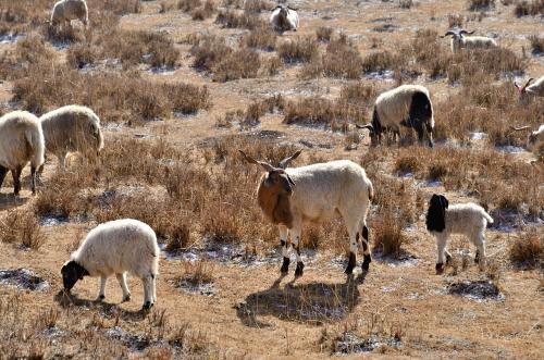 1560735005126083.jpg u=2834390201,730218087&fm=26&gp=0.jpg