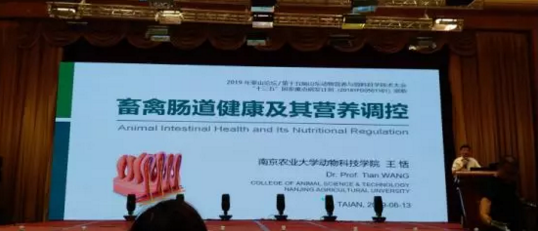 1560762594117098.png 6.png