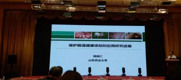 1560762658128768.png 11.png