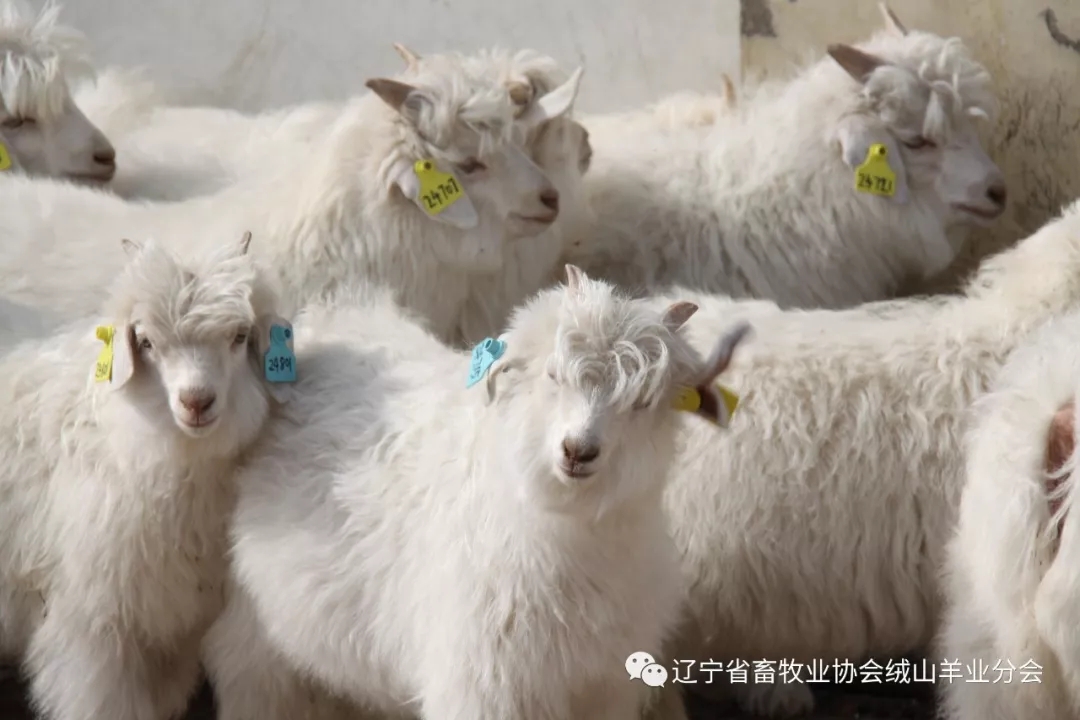 1560838503139427.jpg 640.webp.jpg