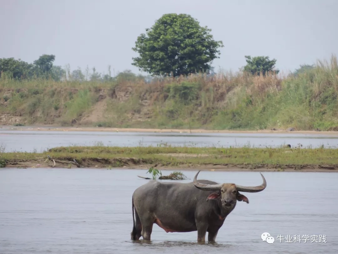 1560838677126375.jpg 640.webp (1).jpg