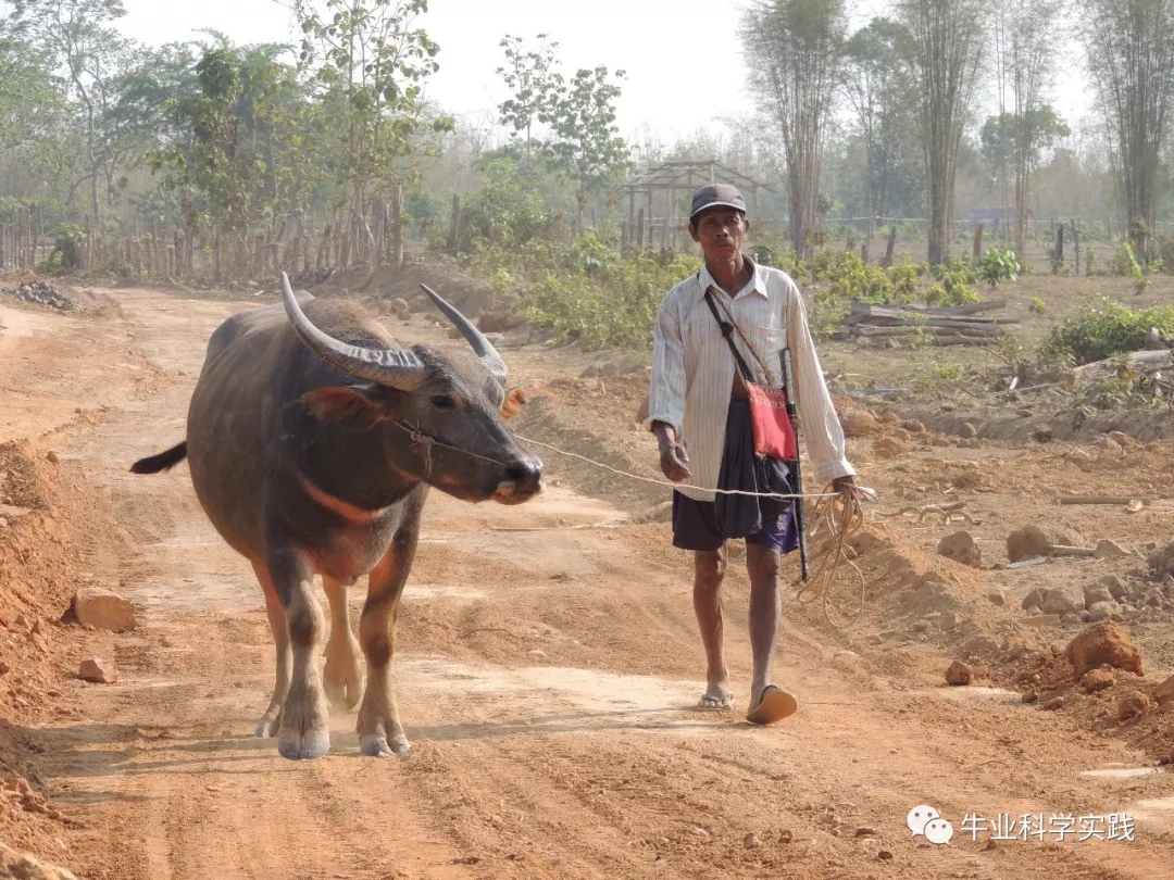 1560838693267356.jpg 640.webp (2).jpg