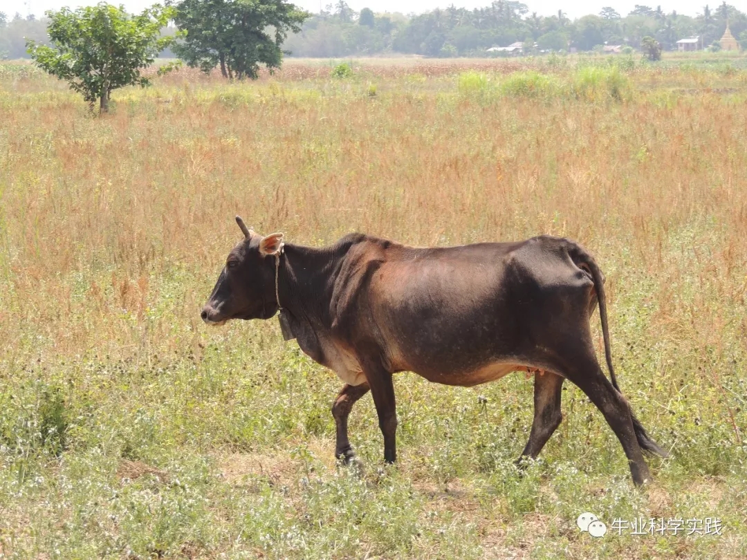 1560838708139638.jpg 640.webp (3).jpg