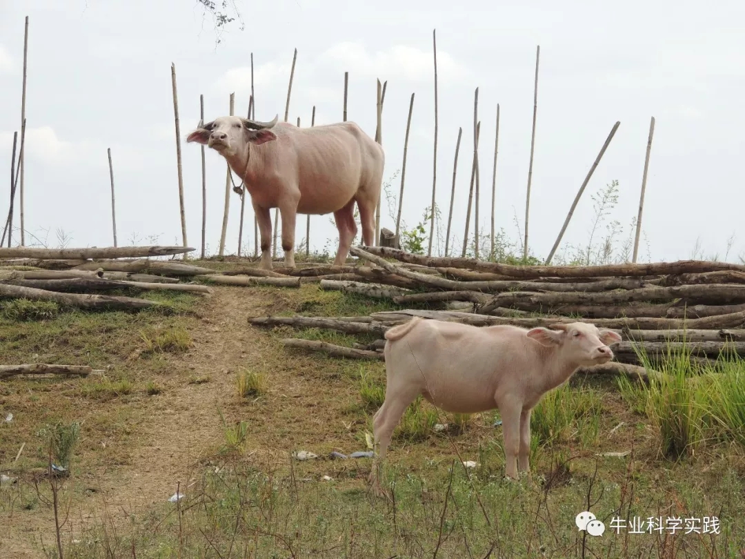 1560838724262407.jpg 640.webp (4).jpg