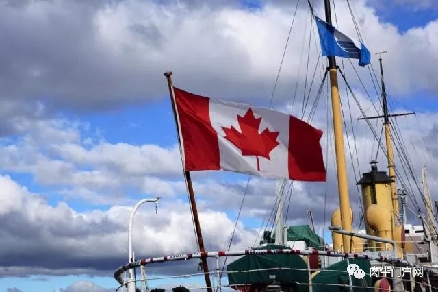 1560913473756154.jpg 3.webp.jpg