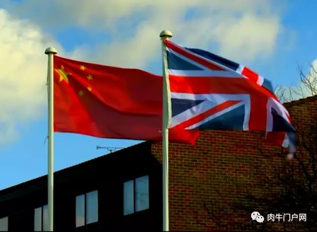 1560913493795442.jpg 4.webp.jpg