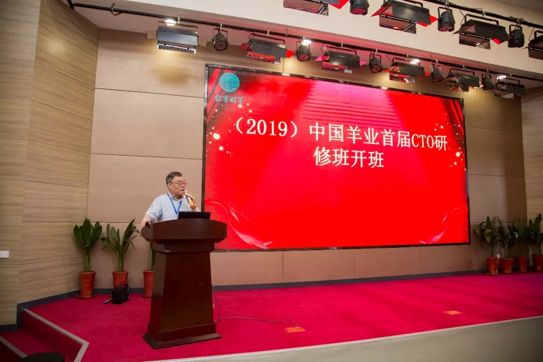 1560914577369643.jpg 640.webp (1).jpg