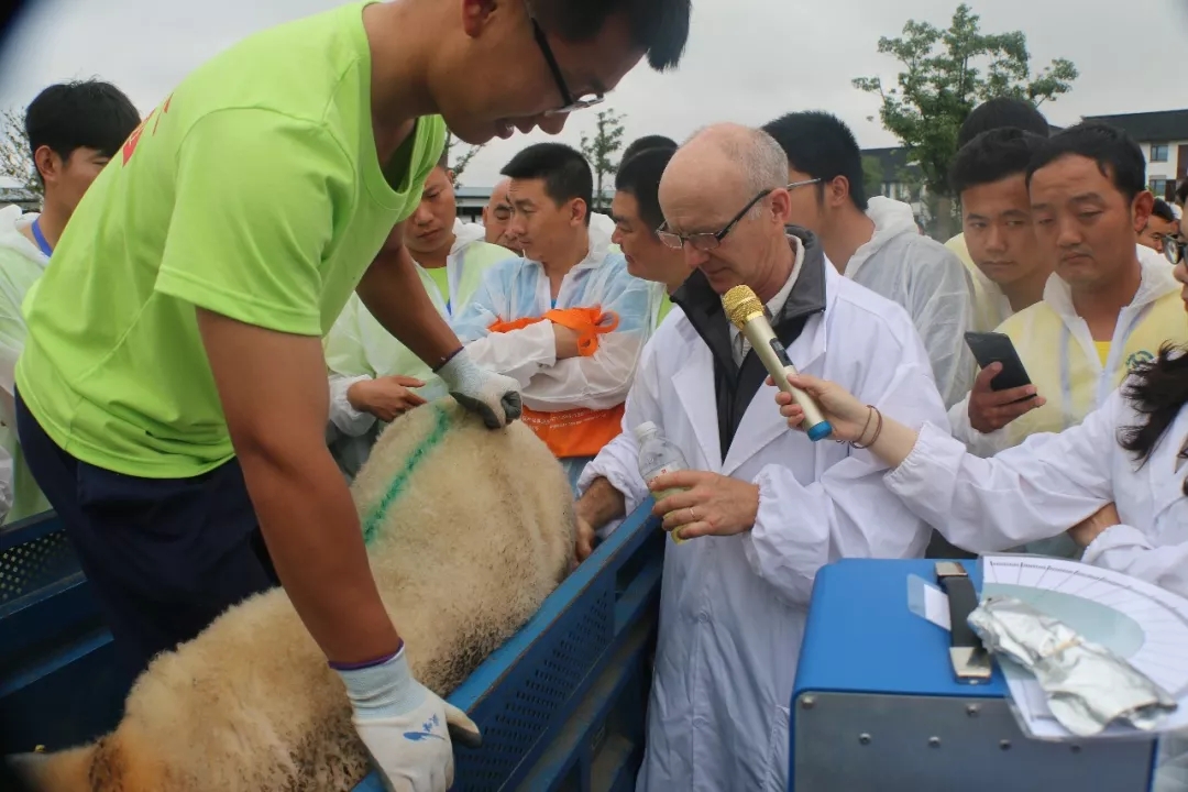 1560914746242010.jpg 640.webp (6).jpg