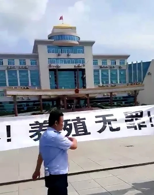 1561079263417924.jpg 640.webp.jpg