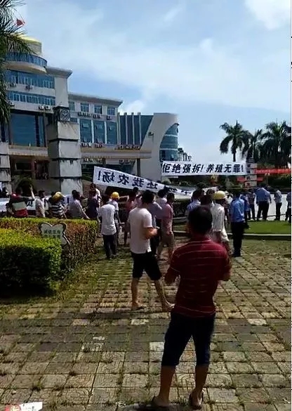 1561079286851771.jpg 640.webp (5).jpg