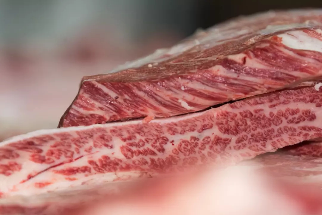 1561598316417322.jpg 640.webp (22).jpg