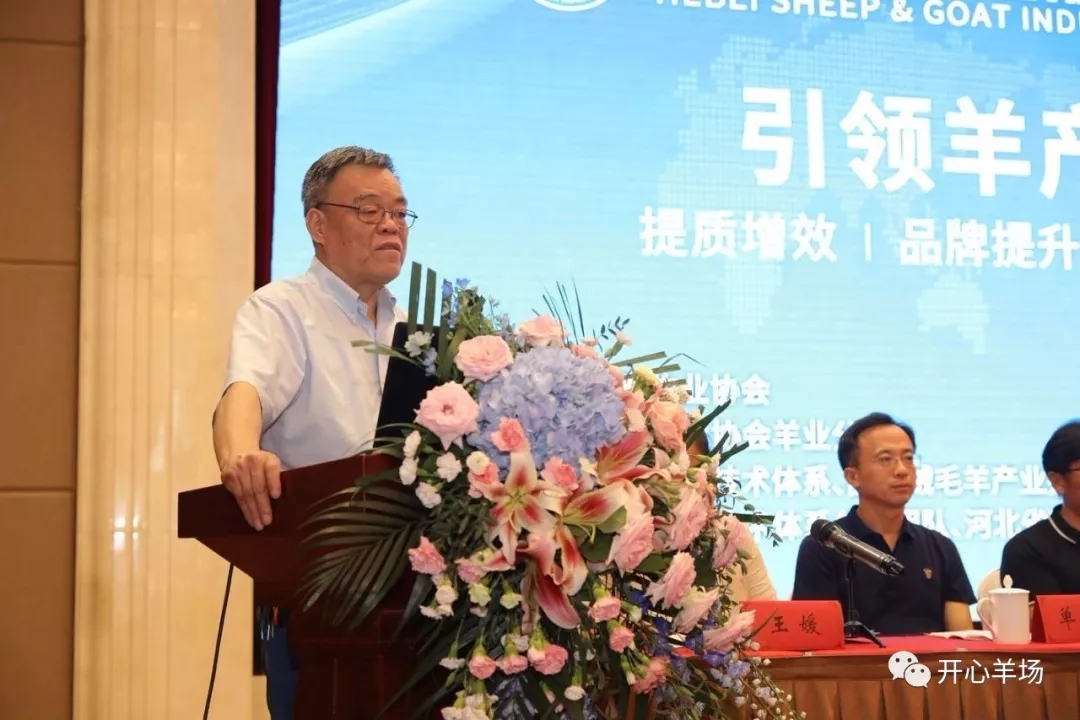 1561687652600680.jpg 640.webp (10).jpg