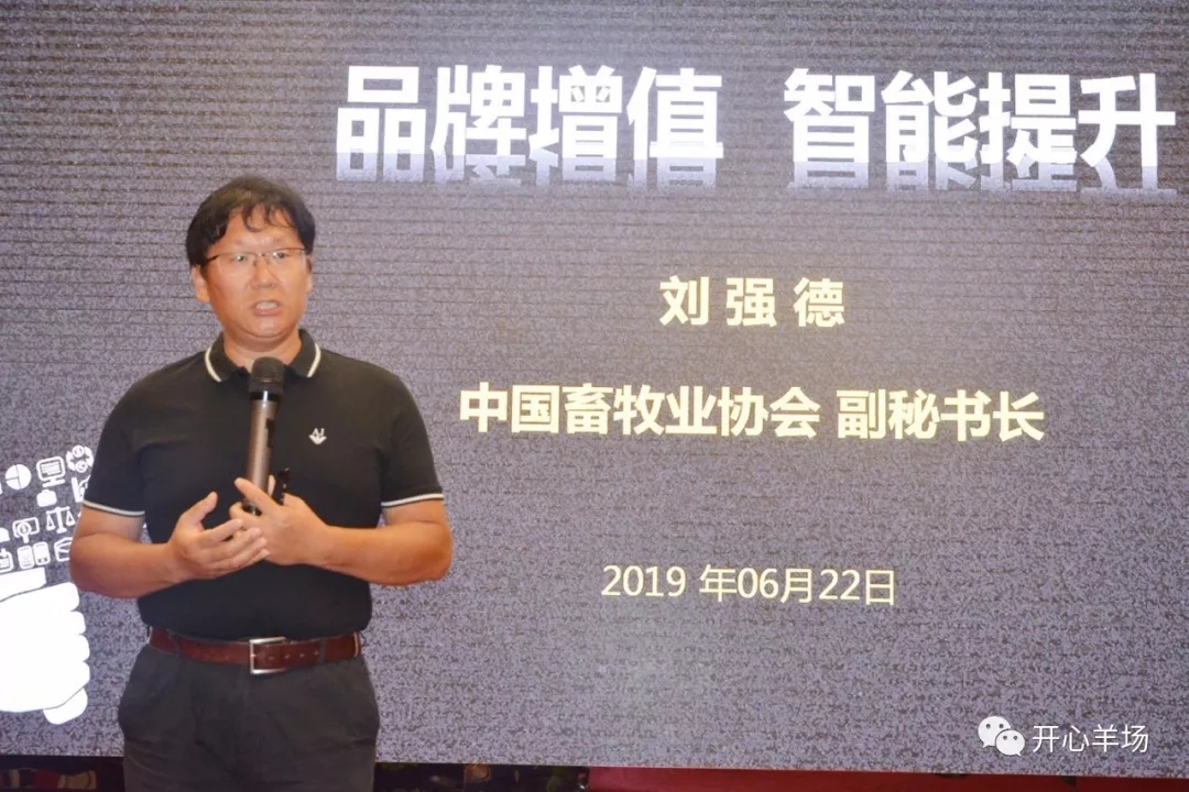 1561687707101860.jpg 640.webp (12).jpg