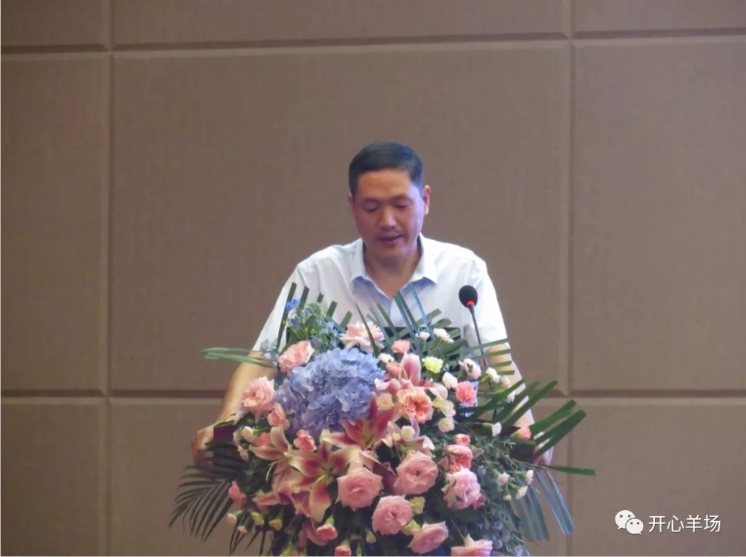 1561687725479331.jpg 640.webp (13).jpg