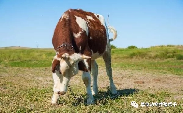 1561702972452952.jpg 640.webp.jpg