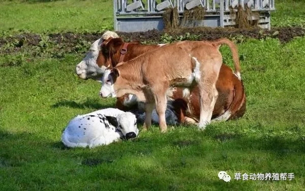 1561702998500803.jpg 640.webp (2).jpg