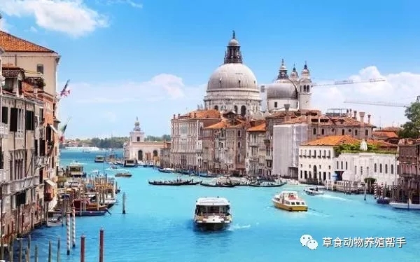 1561703027322351.jpg 640.webp (4).jpg