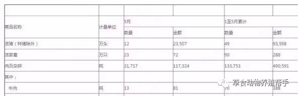 1561703127190845.jpg 640.webp (5).jpg