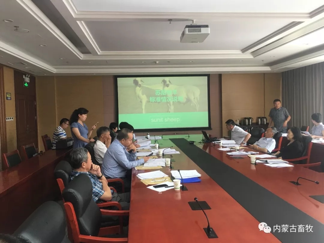 1561770783488970.jpg 640.webp (4).jpg