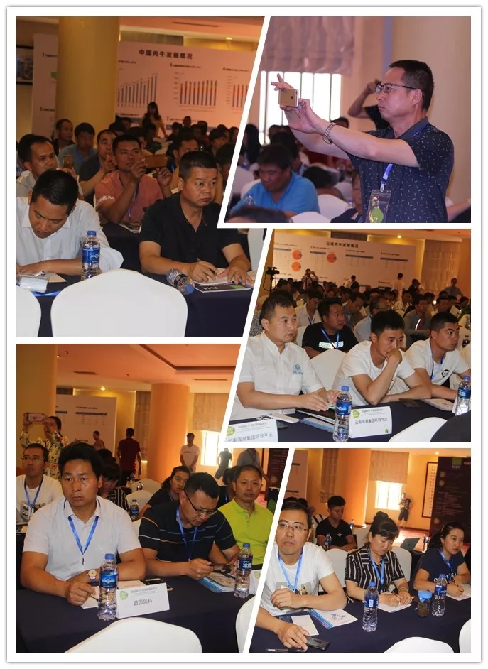 1562116102857580.jpg 640.webp (13).jpg