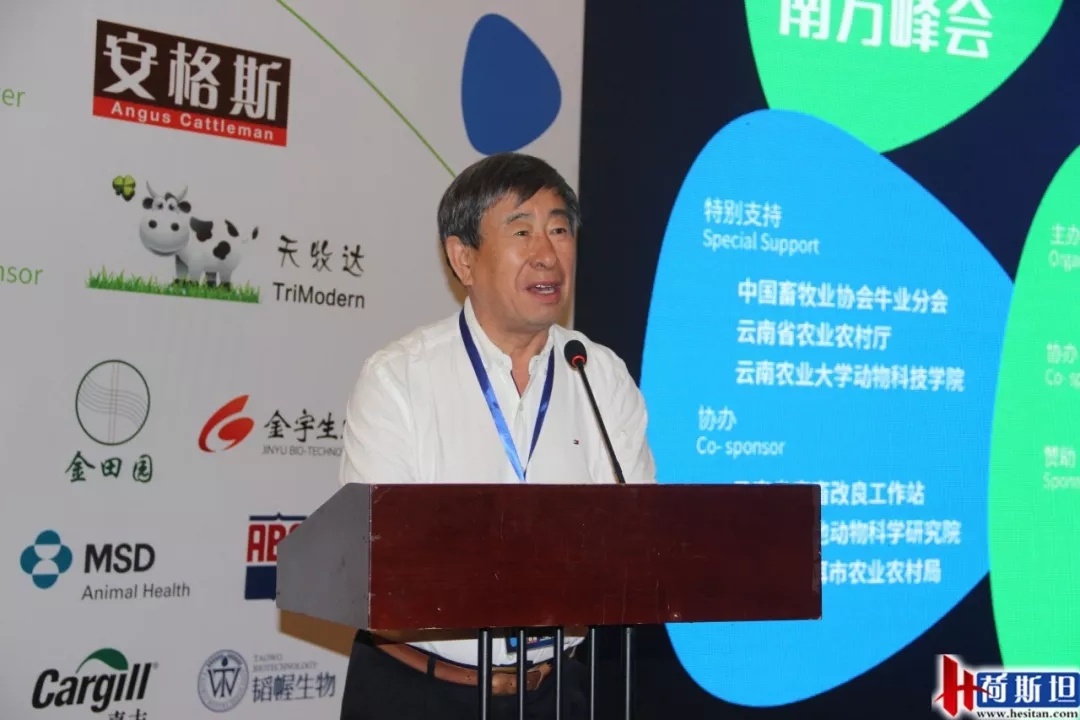 1562116179102583.jpg 640.webp (15).jpg